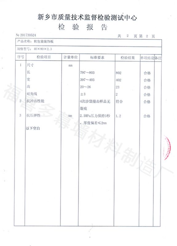 技术检测报告